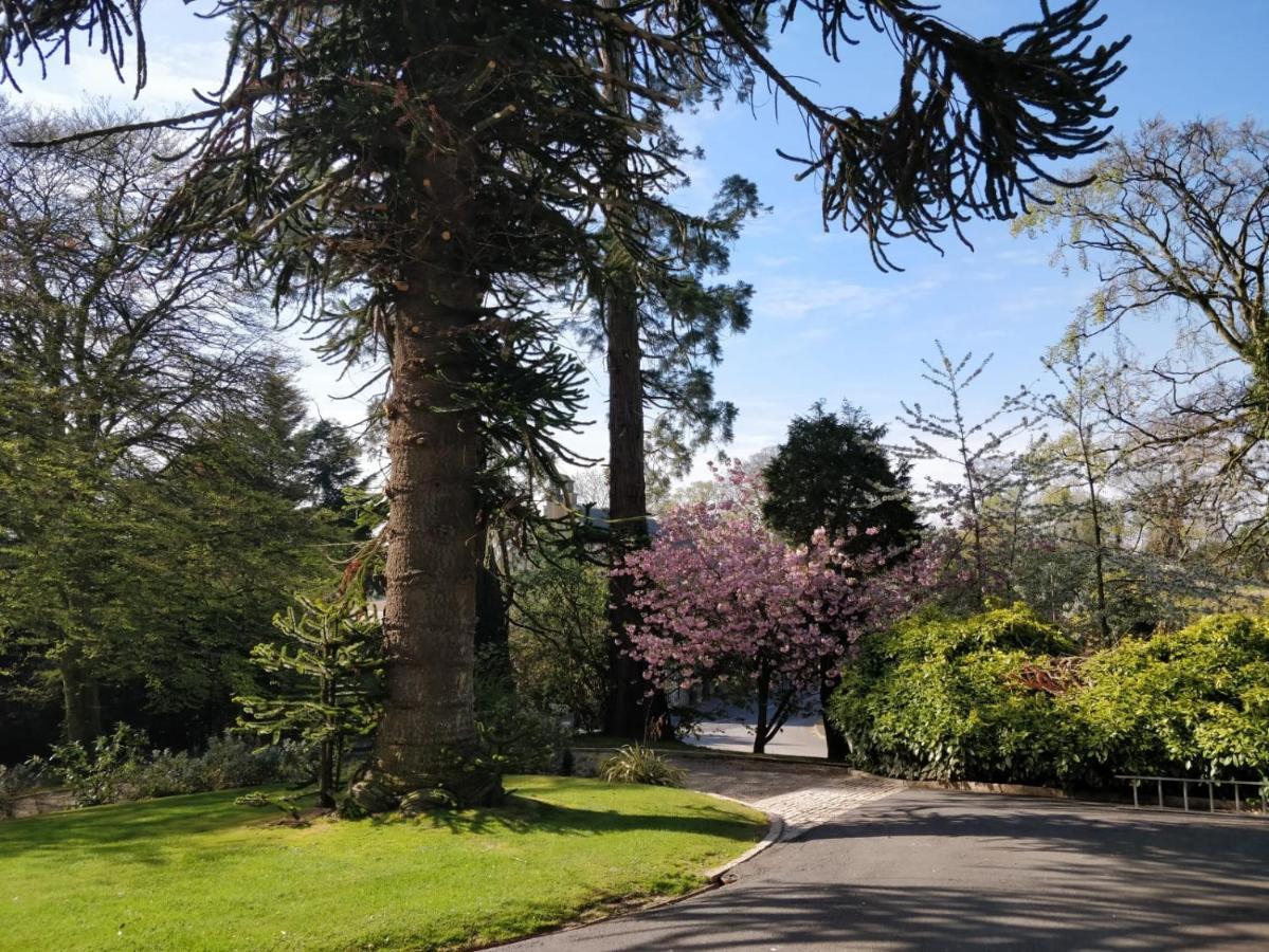 Banoge House Hotell Donaghcloney Exteriör bild