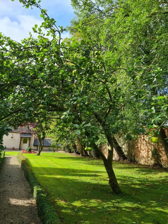 Banoge House Hotell Donaghcloney Exteriör bild